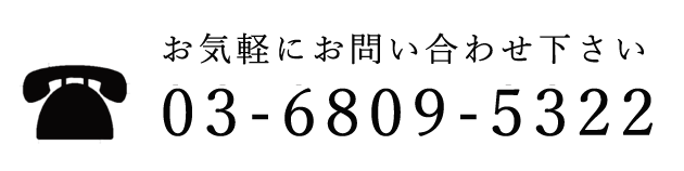 03-6809-5322